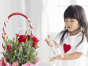 広島で人気の結婚式場といえばコチラ