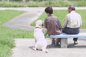 査定力のある店で結婚指輪買取をする